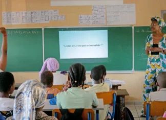 L’Effet Pelapelaka à l’école : apprendre à décrypter l’information L’Effet Pelapelaka à l’école : apprendre à décrypter l’information