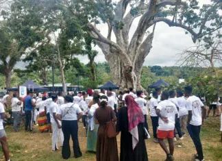 Les Olympiades de Mlezi Maore rassemblent plus de 300 participants à Bandrélé Les Olympiades de Mlezi Maore rassemblent plus de 300 participants à Bandrélé
