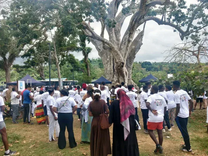 Les Olympiades de Mlezi Maore rassemblent plus de 300 participants à Bandrélé