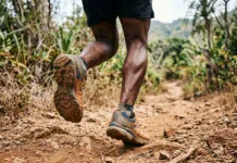 Trail des Makis : la course nature s’impose dans le paysage sportif mahorais Trail des Makis : la course nature s'impose dans le paysage sportif mahorais