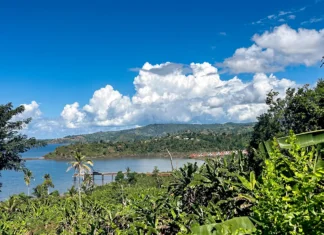 Usine de dessalement d’Ironi Bé : l’urgence de l’eau face au risque environnemental Usine de dessalement d’Ironi Bé : l’urgence de l’eau face au risque environnemental