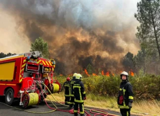 37 sapeurs-pompiers de La Réunion et de Mayotte envoyés en renfort sur le front des incendies en Gironde 37 sapeurs-pompiers de La Réunion et de Mayotte envoyés en renfort sur le front des incendies en Gironde