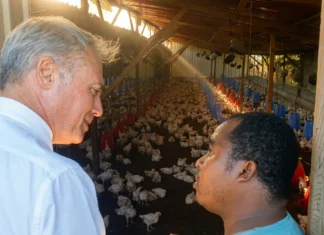 Aviculture : le préfet à la rencontre d’une filière en quête de structuration Aviculture : le préfet à la rencontre d'une filière en quête de structuration