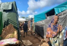 Budget 2026 à Dzaoudzi-Labattoir : Houmadi Mikidache demande à Freddy Novou de justifier ses choix budgétaires Budget 2026 à Dzaoudzi-Labattoir : Houmadi Mikidache demande à Freddy Novou de justifier ses choix budgétaires
