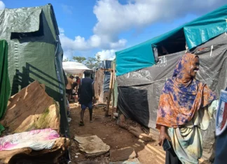 Budget 2026 à Dzaoudzi-Labattoir : Houmadi Mikidache demande à Freddy Novou de justifier ses choix budgétaires Budget 2026 à Dzaoudzi-Labattoir : Houmadi Mikidache demande à Freddy Novou de justifier ses choix budgétaires
