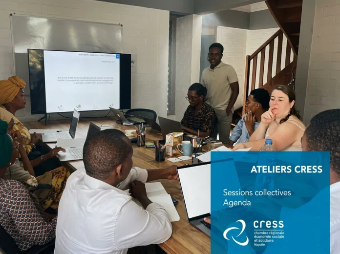 La CRESS de Mayotte propose deux ateliers pour les porteurs de projets en juillet