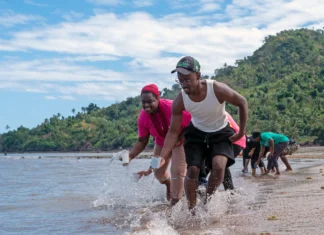 May’île Loisir veut remettre du jeu sur les plages May’île Loisir veut remettre du jeu sur les plages