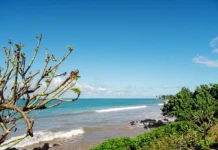 Comores : une carrière prévue au nord de la Grande Comore menace une aire protégée Comores : une carrière prévue au nord de la Grande Comore menace une aire protégée