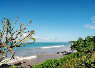 Comores : une carrière prévue au nord de la Grande Comore menace une aire protégée Comores : une carrière prévue au nord de la Grande Comore menace une aire protégée