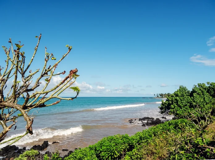 Comores : une carrière prévue au nord de la Grande Comore menace une aire protégée Comores : une carrière prévue au nord de la Grande Comore menace une aire protégée