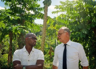 Dans les champs de Combani, les attentes agricoles face au candidat Édouard Philippe Dans les champs de Combani, les attentes agricoles face au candidat Édouard Philippe