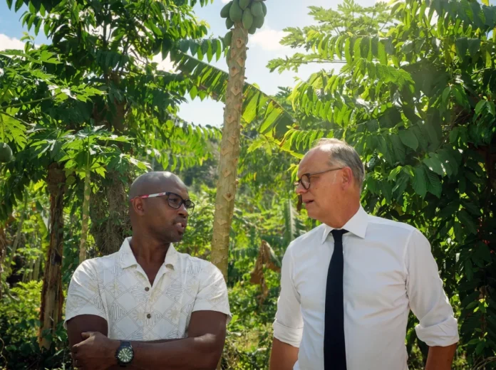 Dans les champs de Combani, les attentes agricoles face au candidat Édouard Philippe Dans les champs de Combani, les attentes agricoles face au candidat Édouard Philippe