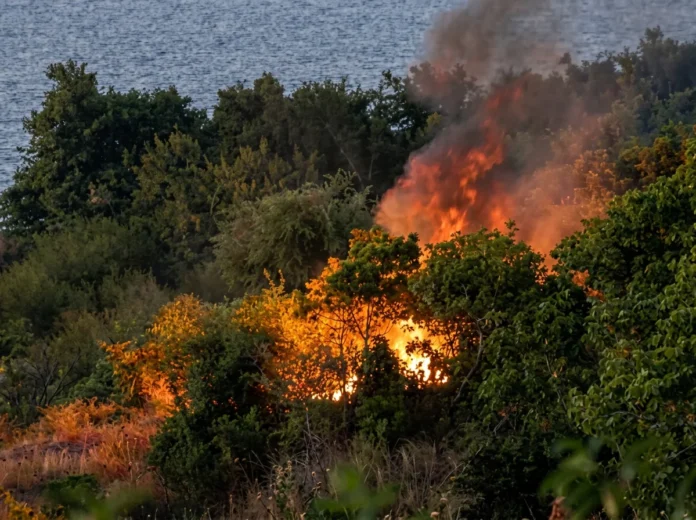 Un feu ravage un champ à Caroni, le propriétaire accuse des voleurs