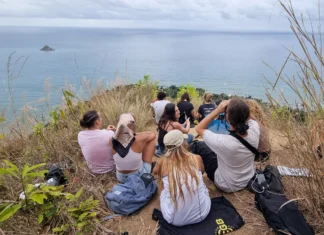 Une quarantaine de personnes ont participé au “comptage synchronisé des baleines à bosses depuis la côté” ce samedi Une quarantaine de personnes ont participé au “comptage synchronisé des baleines à bosses depuis la côté” ce samedi