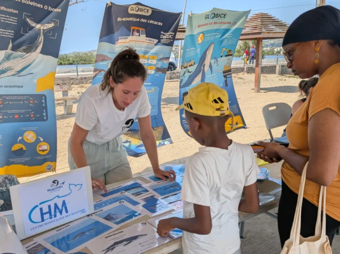 Le festival de la baleine revient pour une 2ème édition ce samedi Le festival de la baleine revient pour une 2ème édition ce samedi