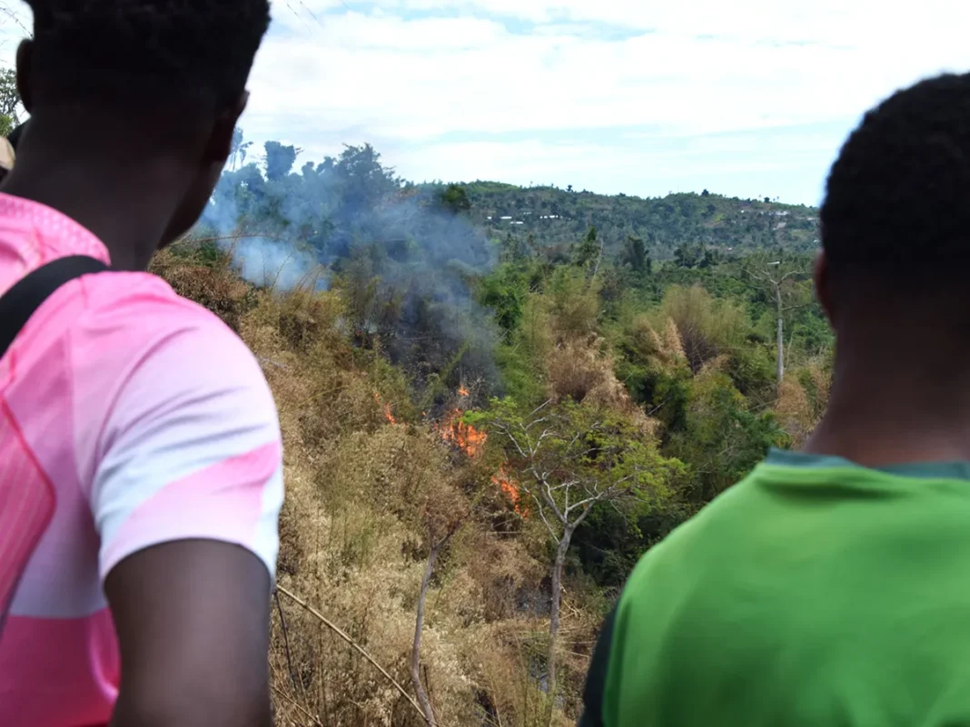 « On se sent démunis » : à Barakani, les habitants entre colère et inquiétude face aux incendies