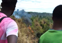 « On se sent démunis » : à Barakani, les habitants entre colère et inquiétude face aux incendies « On se sent démunis » : à Barakani, les habitants entre colère et inquiétude face aux incendies