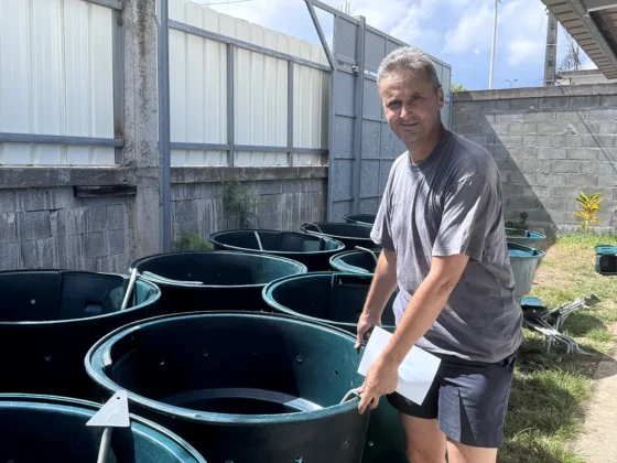 Petite-Terre&nbsp;: une centaine de composteurs distribu&eacute;s pour encourager le tri des d&eacute;chets
