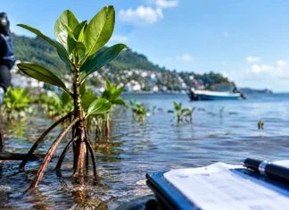 Résilience face aux changements climatiques : un trait d’union scientifique entre Mayotte et ses voisins Résilience face aux changements climatiques : un trait d’union scientifique entre Mayotte et ses voisins