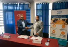 Une synergie au bénéfice des artisans et petites entreprises mahoraises Une synergie au bénéfice des artisans et petites entreprises mahoraises