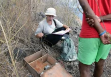 Aux îlots Hajangoua, une biodiversité sous surveillance Aux îlots Hajangoua, une biodiversité sous surveillance