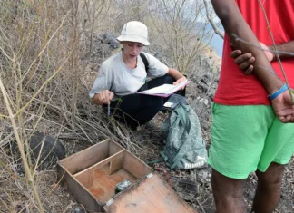 Aux îlots Hajangoua, une biodiversité sous surveillance Aux îlots Hajangoua, une biodiversité sous surveillance