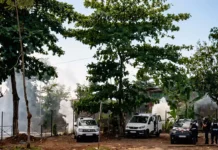Caillassages à Tsararano : deux jeunes de 18 ans condamnés à six mois de prison ferme Caillassages à Tsararano : deux jeunes de 18 ans condamnés à six mois de prison ferme