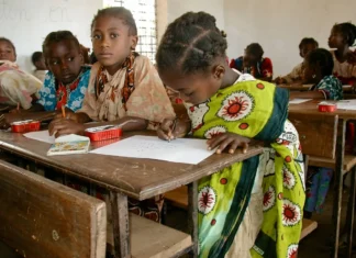 Comores : un rapport révèle les lacunes du système éducatif Comores : un rapport révèle les lacunes du système éducatif