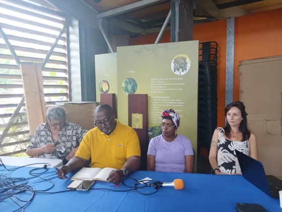 &laquo; &Eacute;coutez Mayotte&nbsp;&raquo; : les jeunes prennent la parole et interpellent les adultes