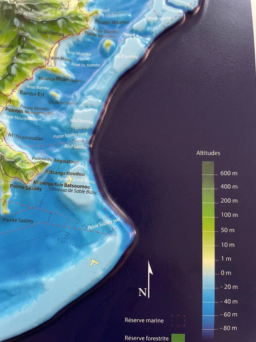 Légende des altitudes de la carte, de 600 mètres à moins 80 mètres