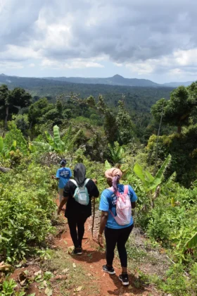 Plus de 2&nbsp;000 participants aux randonn&eacute;es d&rsquo;Uzuri Wa Mwendro, toujours plus inclusives