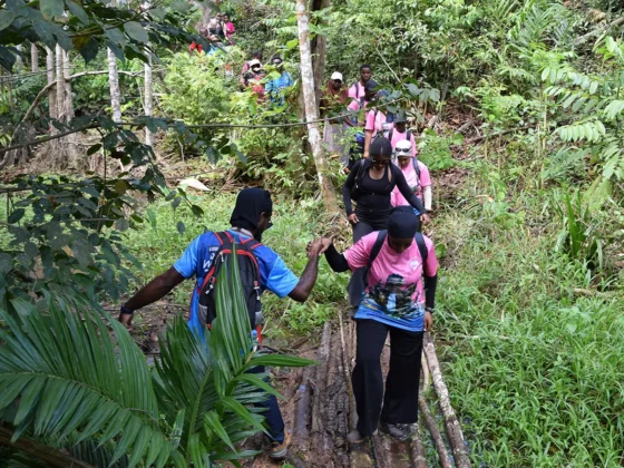 Plus de 2&nbsp;000 participants aux randonn&eacute;es d&rsquo;Uzuri Wa Mwendro, toujours plus inclusives