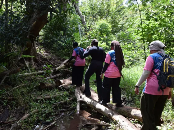 Plus de 2&nbsp;000 participants aux randonn&eacute;es d&rsquo;Uzuri Wa Mwendro, toujours plus inclusives