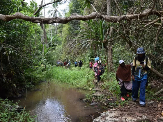 Plus de 2&nbsp;000 participants aux randonn&eacute;es d&rsquo;Uzuri Wa Mwendro, toujours plus inclusives