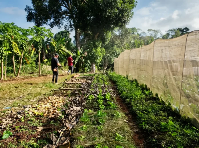 Protection sociale : 17 réunions d’information pour les agriculteurs