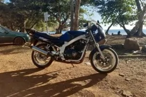 Suzuki GSE 500