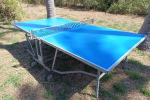 Table de tennis de table extérieure