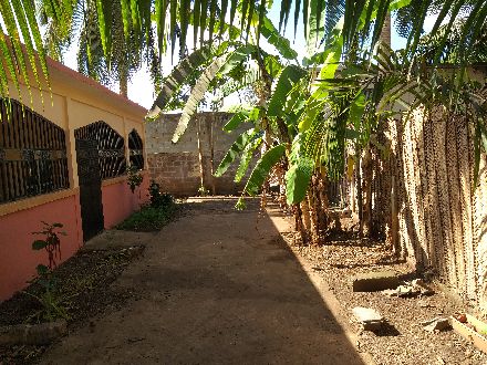 Loue maison Longoni