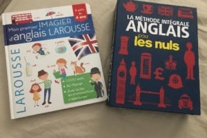 LAROUSSE ANGLAIS + ANGLAIS POUR LES NULS