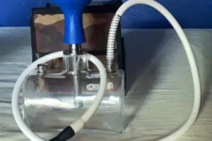 Chicha