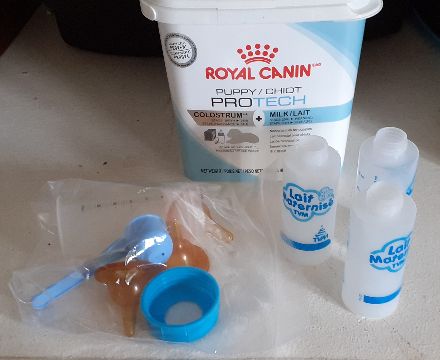 kit alimentation pour chiots