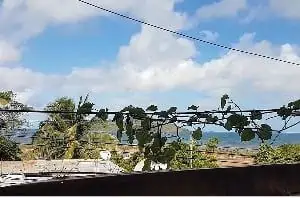 colocation derrière la poste de M’Tsapéré